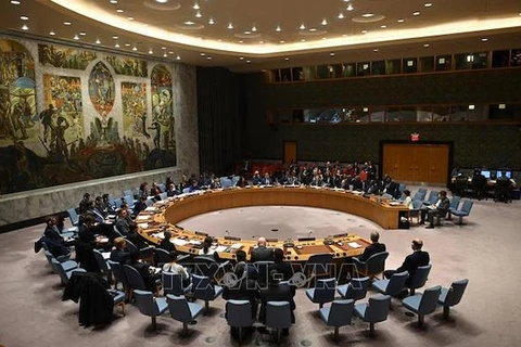 越南与联合国安理会：越南呼吁保护发生武装冲突各国的人民
