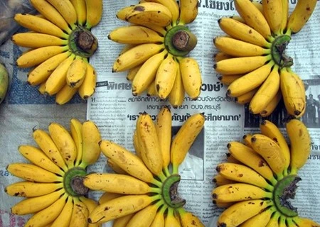 香蕉是老挝向中国出口的主要产品之一