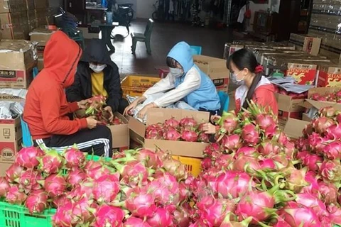 EVFTA：更多越南农产品即将进军欧盟市场
