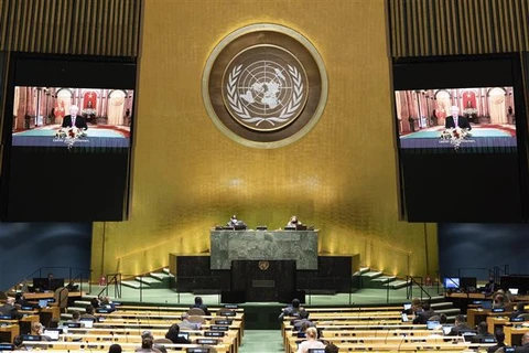 越南与联合国安理会：越南一向重视并希望加强与联合国之间的全面合作关系