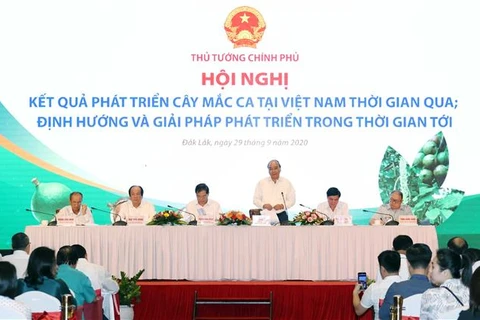 越南政府总理阮春福：坚果必须“后走先到”