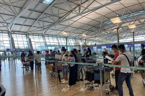 新冠肺炎疫情：在韩国的250多名越南公民安全回国