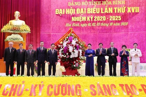 迎接党的十三大：国会主席阮氏金银出席越共和平省第十七次代表大会