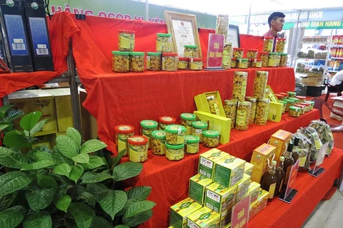 金花茶种植给广宁省巴节县同胞带来利益