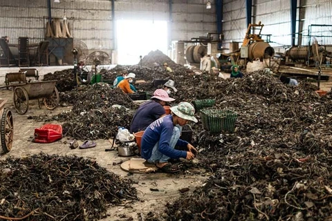 泰国禁止进口超过400种电子废物