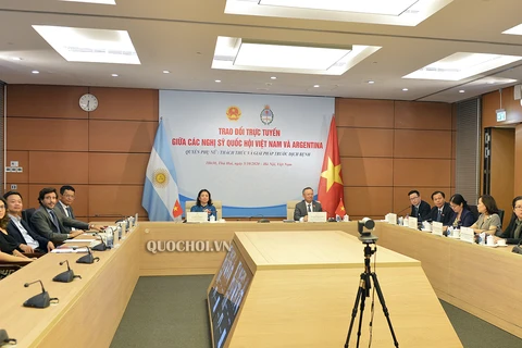 越南国会代表与阿根廷议会议员就妇女权益举行在线座谈会
