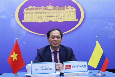 第5次越南与克伦比亚外交部副部长级政治磋商以视频形式进行