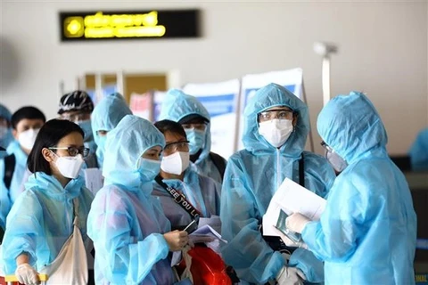 新冠肺炎疫情：在新加坡滞留的近360名越南公民安全回国