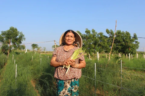 授予妇女经济权能，促进农业可持续发展