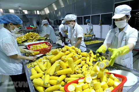 越南对欧盟的农产品出口额猛增
