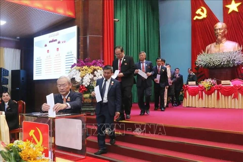 越共同奈、薄辽、平定等省党代会选举产生新一届领导机构