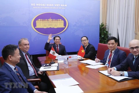  越南与秘鲁两国外交部第四次政治磋商以视频方式举行