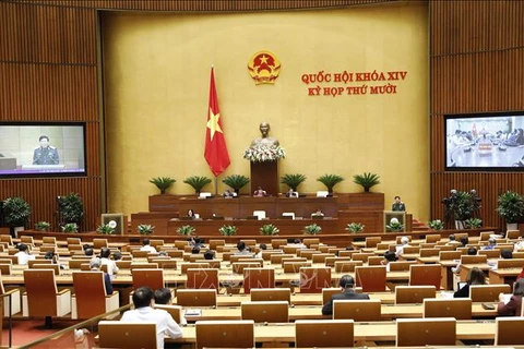 第十四国会第十次会议：参加联合国维和力量有助于提高越南的地位和威望