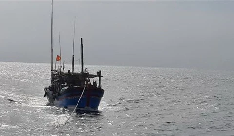 继续开展在海上失踪的平定省26名渔民的搜救工作