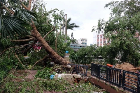 第九号台风给越南各地造成严重的人员和财产损失