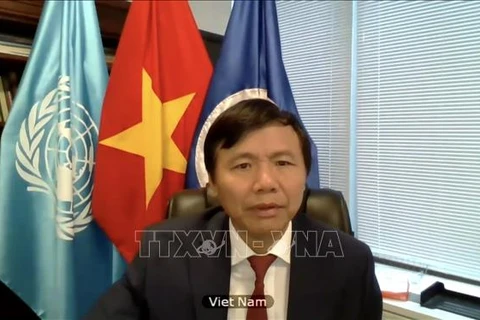 越南与联合国安理会：越南再次强调对联合国维和行动的支持