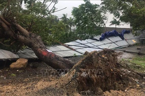 第12号台风致2人死亡 多地遭受财产损失
