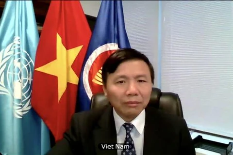 越南和联合国安理会：越南呼吁也门有关各方执行停火协议