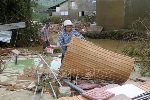 加拿大政府为越南中部地区洪灾灾民提供人道主义援助