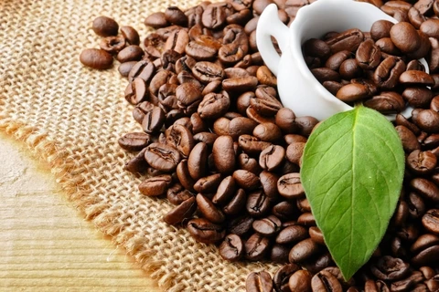 越南咖啡产业自我更新、持续创新、积极融入谋求发展