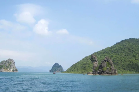 越南旅游：走访白子龙国家级自然保护区