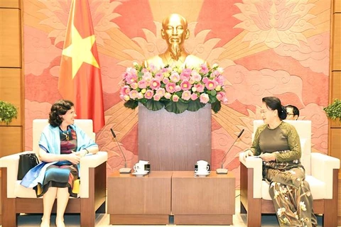 越南国会主席阮氏金银会见古巴和俄罗斯驻越大使