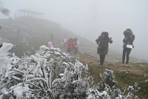 越南北部山区和中部以北地区出现严寒天气 可能出现寒霜冻雾现象