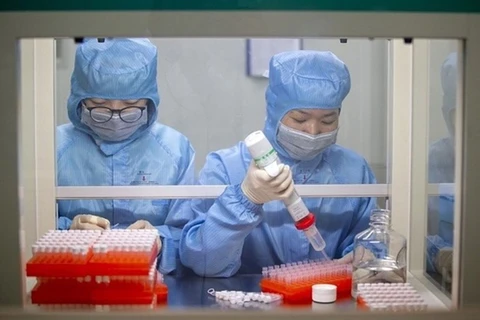 新冠肺炎疫情：越南新增6例境外输入病例和13例治愈病例