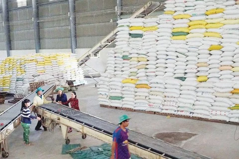 EAEU将于2021年给予越南1万吨大米的出口关税配额