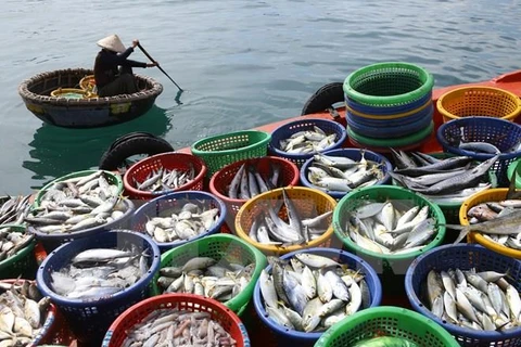 越南坚江省水产品产量超过计划的10％