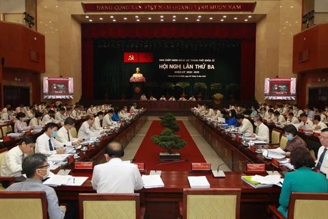 越共胡志明市第十一届委员会召开第三次会议