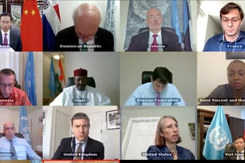 联合国安理会呼吁打击西非和萨赫勒极端恐怖与暴力