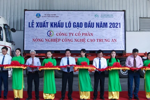 2021年初越南向新加坡和马来西亚出口1600吨大米
