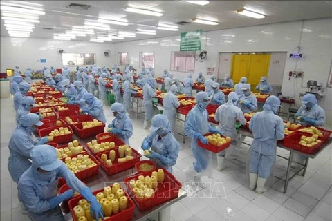 RCEP协定：越南农产品向全球价值链攀升的良机
