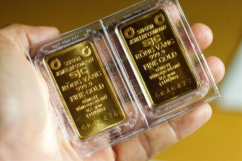 19日上午越南国内市场黄金价格每两上涨56万越盾