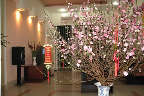 民族传统春节习俗