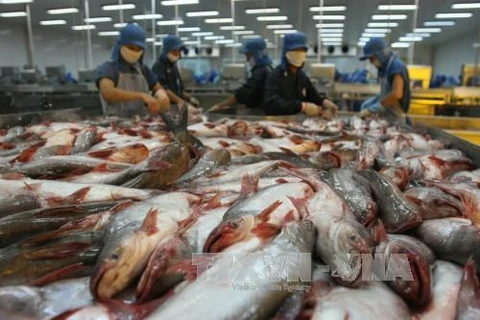 柬埔寨恢复从越南进口部分鱼类