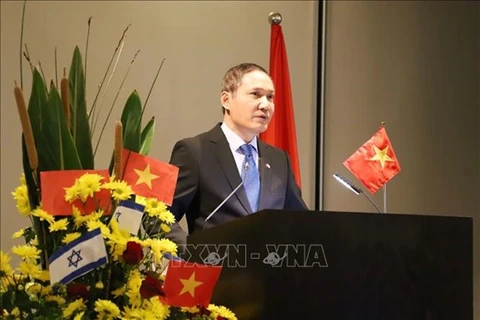 越南驻外大使馆纷纷举行迎春活动