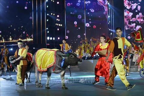 越南人生活中的水牛文化 