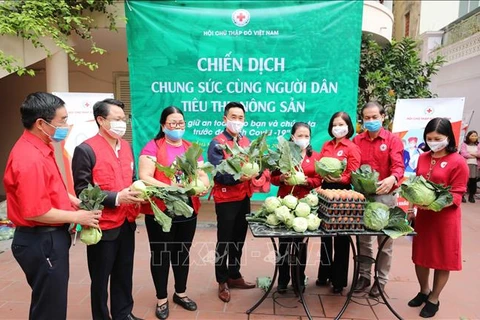 越南红十字协会启动疫区农产品爱心购活动