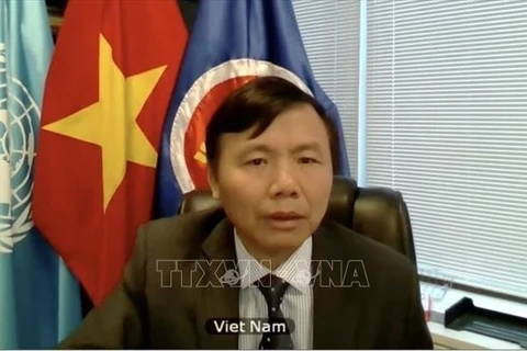 越南出席安理会关于国际法上使用武力和正当自卫权问题的视频会议