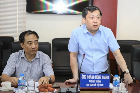 越南海事局成立集装箱运费检查工作组