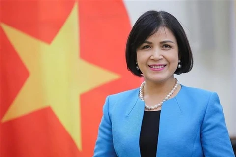  越南驻日内瓦代表团纪念国际妇女节111周年和双征夫人起义1981周年 