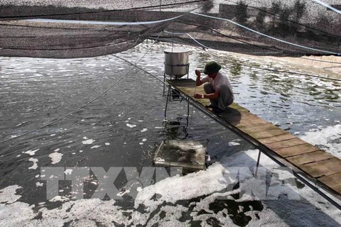 北江省在精耕水产养殖方面加大应用自动化技术