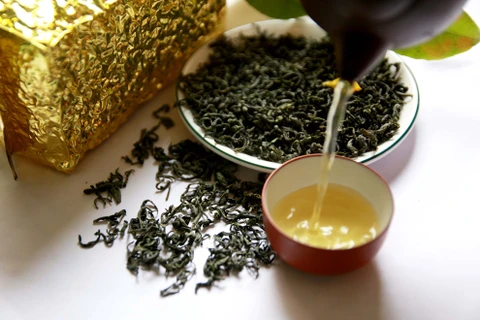 越南太原省将茶叶发展成为主要农产品