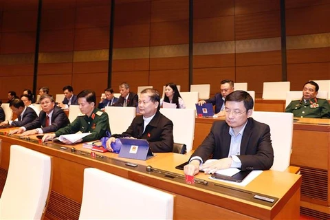 越南国会向自荐候选人敞开成为国会代表的大门