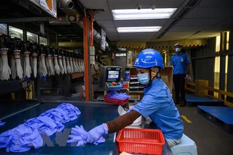 东盟与韩国促进劳工与就业合作