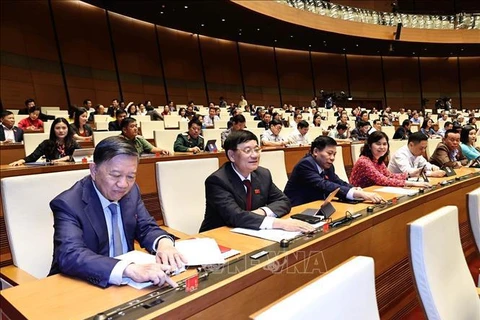 越南第十四届国会第十一次会议：选举国会副主席和国会常务委员会部分委员