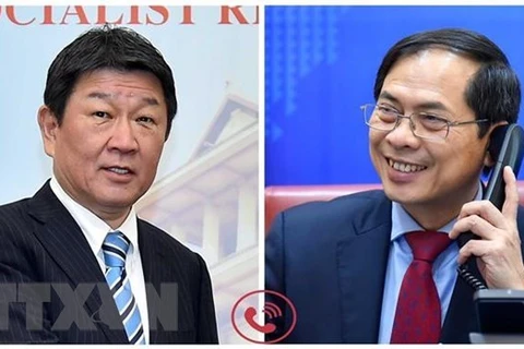 越南外交部长裴青山与日本外务大臣茂木敏充通电话