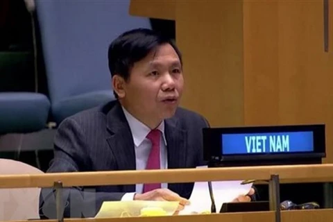 越南与联合国安理会：越南支持促进波黑和解及经济发展的努力